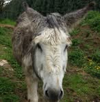 Profile Picture of Claude Rateau (@claude.rateau.92) on Facebook