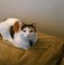 Profile Picture of Mary Wetherell (@mary.wetherell.547) on Facebook