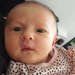 Tracey O'connell - Instagram Profile Picture of Tracey O'connell (@traceyo41) on Instagram