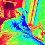 Profile Picture of Alice Donnell (@donnellalice) on Instagram