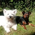 Profile Picture of John Feeley (@john.feeley.1806) on Facebook