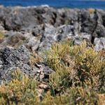 Profile Picture of Skepple (@tcscq61) on Instagram