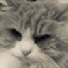 Profile Picture of chriswuwu (@chriswuwu) on Flickr