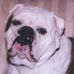 Profile Picture of Terry Clark (@terry.clark.716) on Facebook
