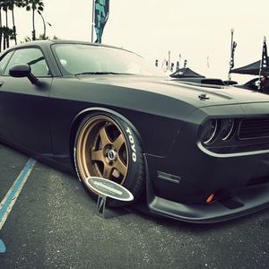 Profile Picture of Brandon Rodrigues (@Brandon24743773) on Twitter