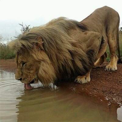 Profile Picture of Savino Bruno (@Bruno17Savino) on Twitter