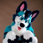 Profile Picture of Thomas -Wolf- (@kenneth_the_furry_0w0) on Instagram