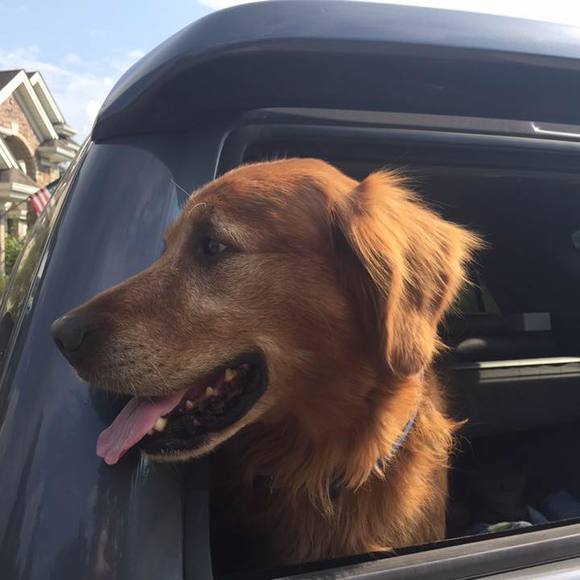 Profile Picture of Logan Emnett (@loganemnett) on Poshmark