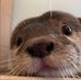 Profile Picture of Chris Bartlett (Otter) (@chris.bartlett.7737) on Facebook