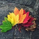 Profile Picture of William Rheault (@william_rheault_996) on Instagram