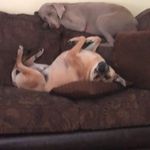 Profile Picture of Dee Wilson Terrone (@dee_terrone) on Instagram