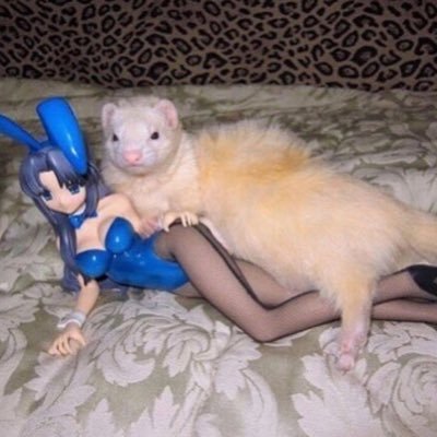 Profile Picture of Mr. Clean Truck (@JayCherry13) on Twitter