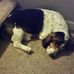 Profile Picture of Jon Webb (@jon.webb.754) on Facebook