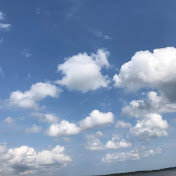 Profile Picture of Lily Peters (@lilypeters7157) on Youtube