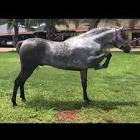 Sebastián quiroz Orozco... - Tiktok Profile Picture of   Sebastián quiroz Orozco... (@sebasti08) on Tiktok