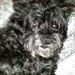 Profile Picture of Cynthia Boyette (@cboyett50) on Pinterest