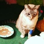 Profile Picture of chris carhart (@chris._.aesthetic) on Instagram