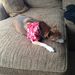 Profile Picture of A Gould (@aideng) on Pinterest