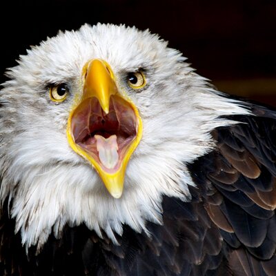 Profile Picture of Thomas Poth (@TPoth_Privat) on Twitter