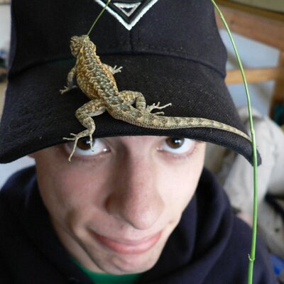Profile Picture of Chris_Harrold (@Chris_Harrold) on Twitter
