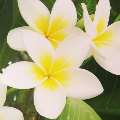 Profile Picture of Annette Alexander (@StyleinBrisbane) on Twitter