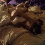 Profile Picture of Steven Schaal (@s.schaal) on Instagram