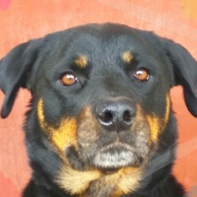 Profile Picture of Sergei ✪ (@MikeCoo30152559) on Twitter