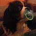 Profile Picture of Cathy Simon (@cathy.simon.180) on Facebook