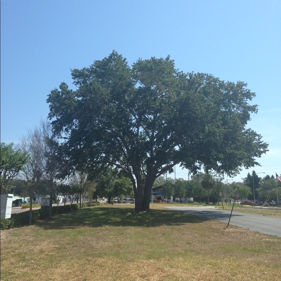 Profile Picture of Kaley Minocchi (@brokengirl13) on Poshmark