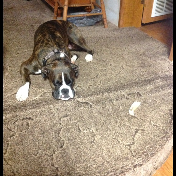 Profile Picture of Gray Gray (@midnight123grac) on Poshmark