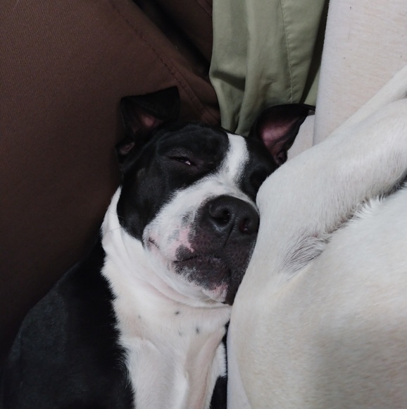 Profile Picture of Trista Cooper (@tristacpr) on Poshmark