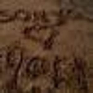 Profile Picture of Sonya Ball (@246953674) on Myspace