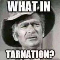 Profile Picture of Michael Wegrzyn (@MsWegrzyn) on Twitter