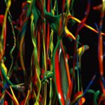 Profile Picture of braxton (@braxton.duncan_15) on Instagram