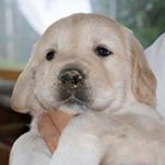 Profile Picture of Maurizio Cerri (@maurizio.cerri.549) on Instagram