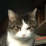 Profile Picture of Nancy (@chubby_nancy) on Instagram