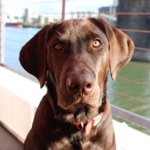 Profile Picture of steven zuehlsdorff (@zoolsdorff) on Instagram