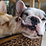 Profile Picture of Matt Todaro (@Matt Todaro) on Flickr