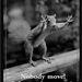 Profile Picture of Jason Cronister (@cronisters83835) on Pinterest