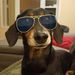 Profile Picture of Ian Hayes (@ianhayesfaceboo) on Pinterest