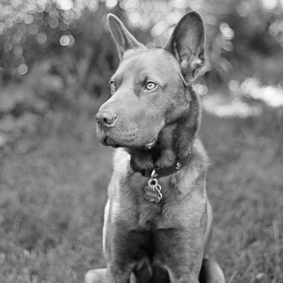 Profile Picture of Evan Wilkins (@ThomasEvans2785) on Twitter