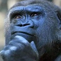 Profile Picture of Ian Humphreys (@ian-humphreys-10) on Quora