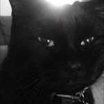 Profile Picture of Alan R Heap (@alanrheap53) on Instagram