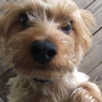 Profile Picture of Jsipes (@SipesJamie) on Twitter