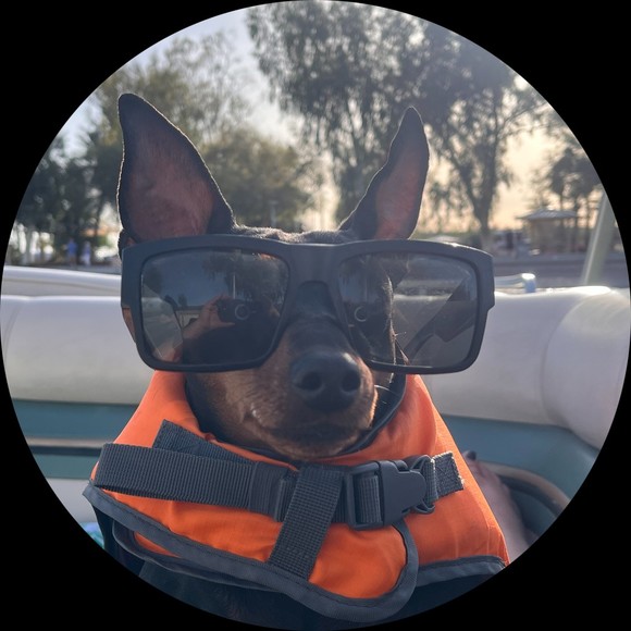 Profile Picture of Christinalynne Mensen (@longliverobbi) on Poshmark