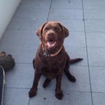 Profile Picture of Gregory Foster (@gregozowow) on Instagram