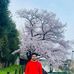 Profile Picture of David Kandel (@david.kandel.3) on Facebook