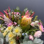 Profile Picture of Mikayla Stuart (@mikayla.stuart.188109) on Facebook