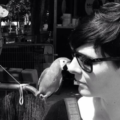 Profile Picture of Judith Fox (@judfox) on Twitter