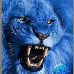 Profile Picture of Antonio Berry Sr. (@berrysr.antonio) on Instagram